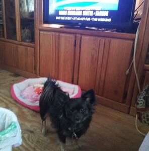 Meet your Posher, Debbie